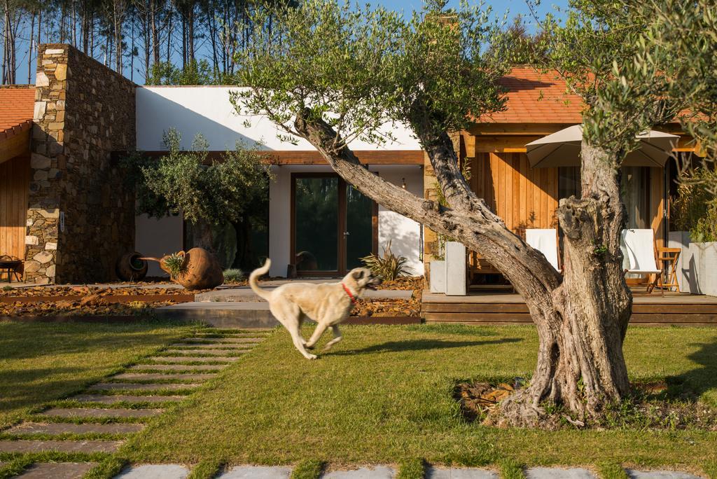 Maison d'hôtes Teima, Alentejo Sw à São Teotónio Extérieur photo